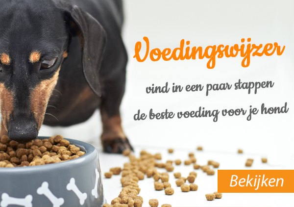 Labe hurken leerling Hondenvoer en Kattenvoer online bestellen | Petfood.nl